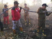 Tim DALKARHUTLA Dinas Kehutanan Kalteng memadamkan Karhutla di Tumbang Nusa Kabupaten Pulang Pisau.